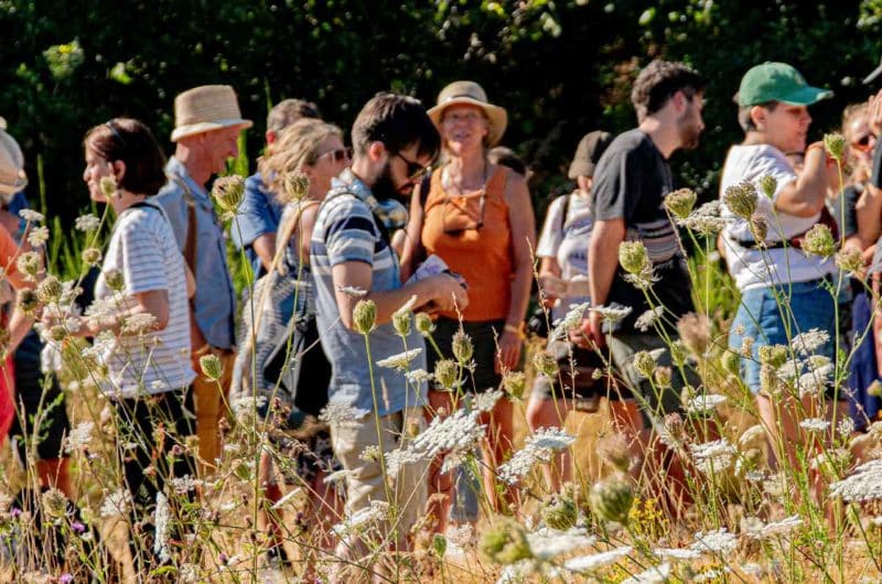 photo du spectacle surprise en partenariat avec l'arbre bavard