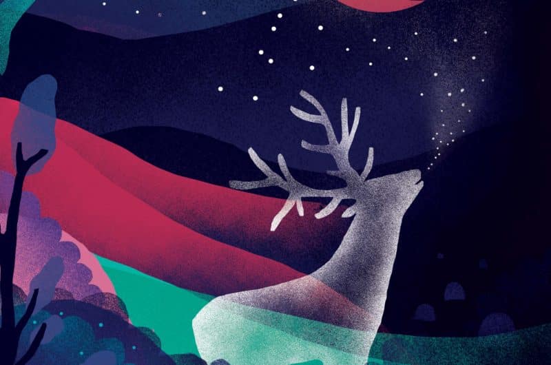 Les Nuits de la Mayenne